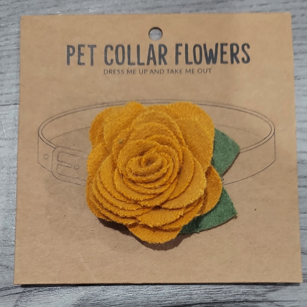Pet Collar Flower